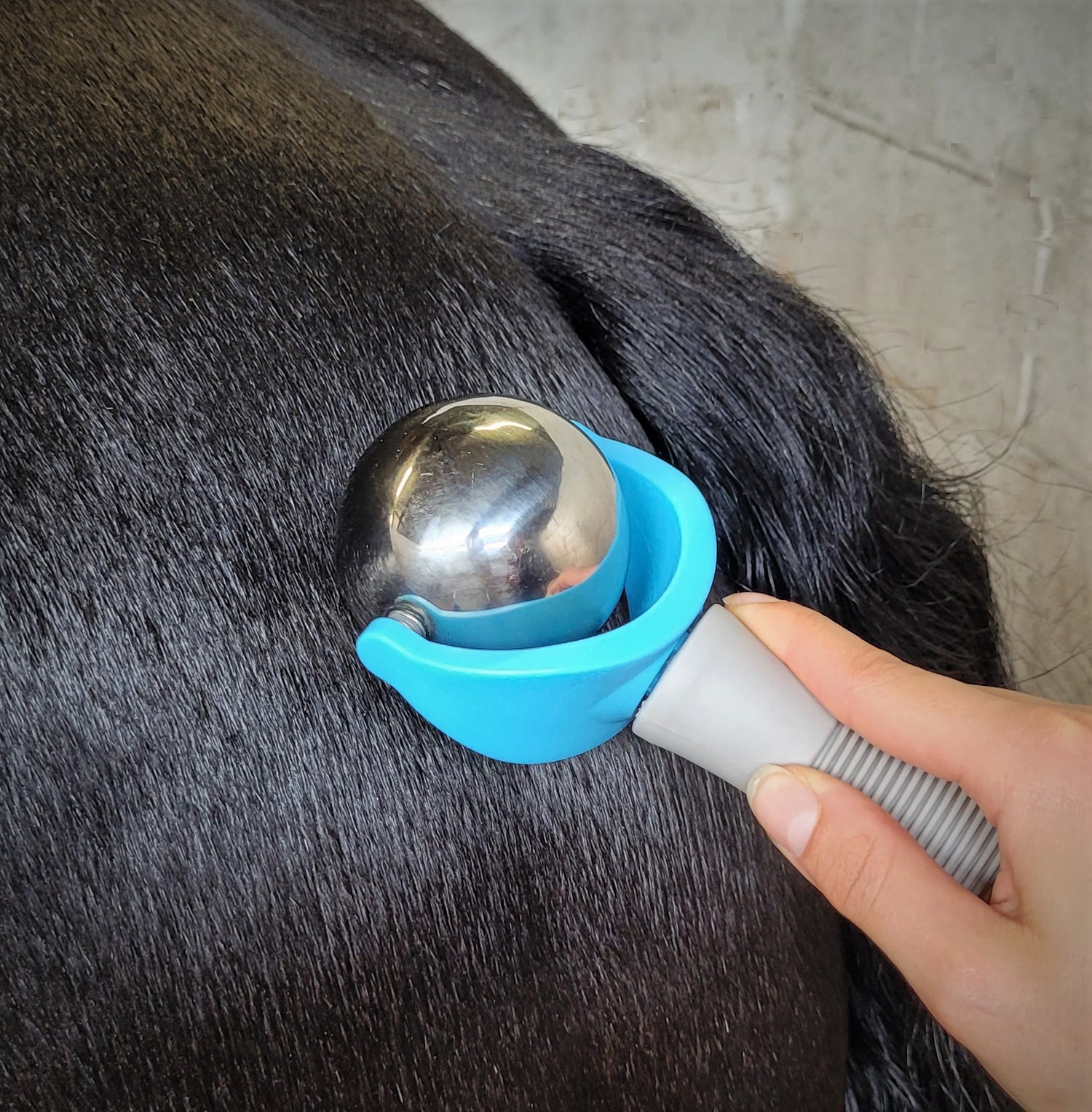 The Massage Ball image 8