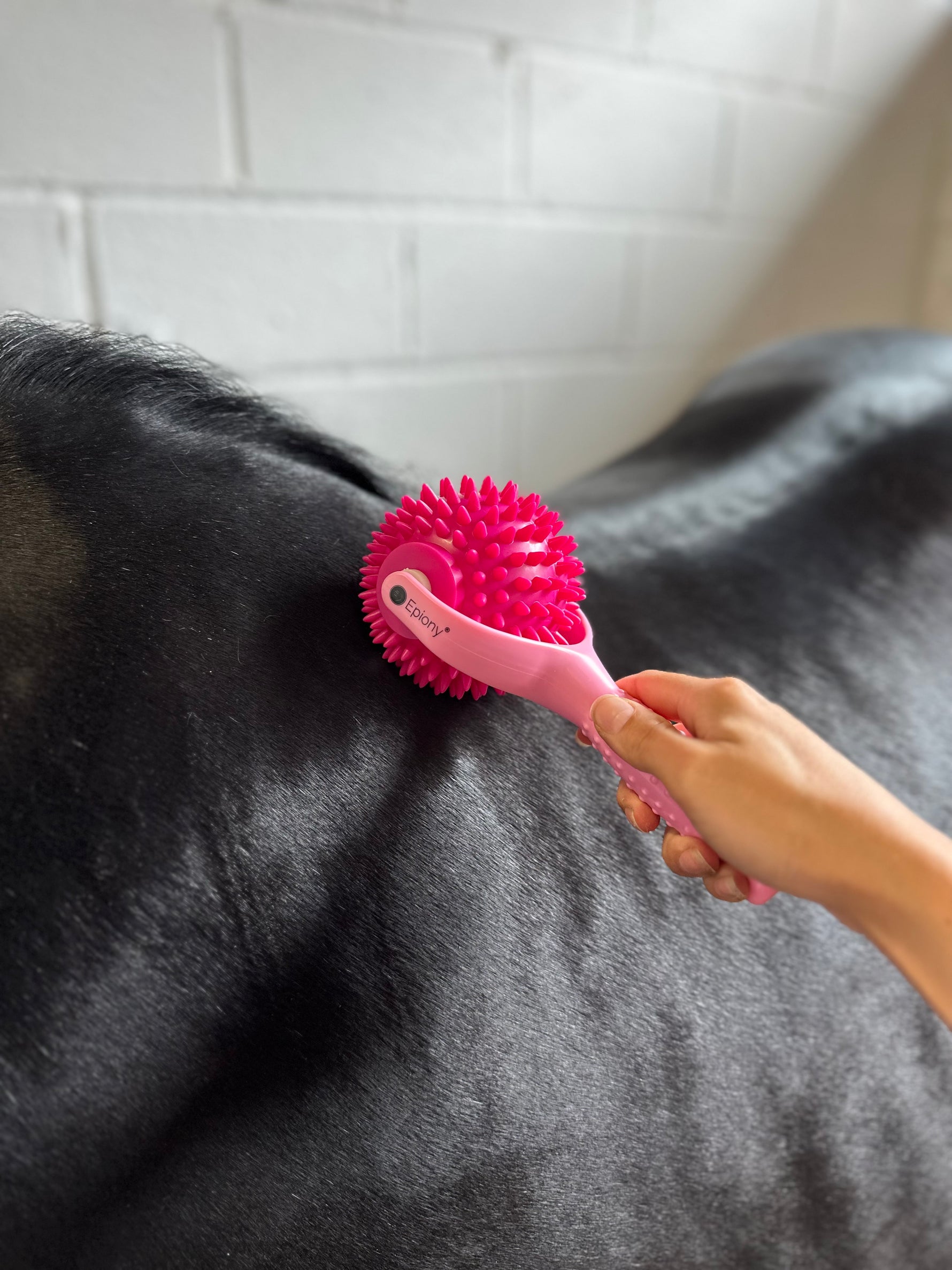 The Spiky Massage Ball