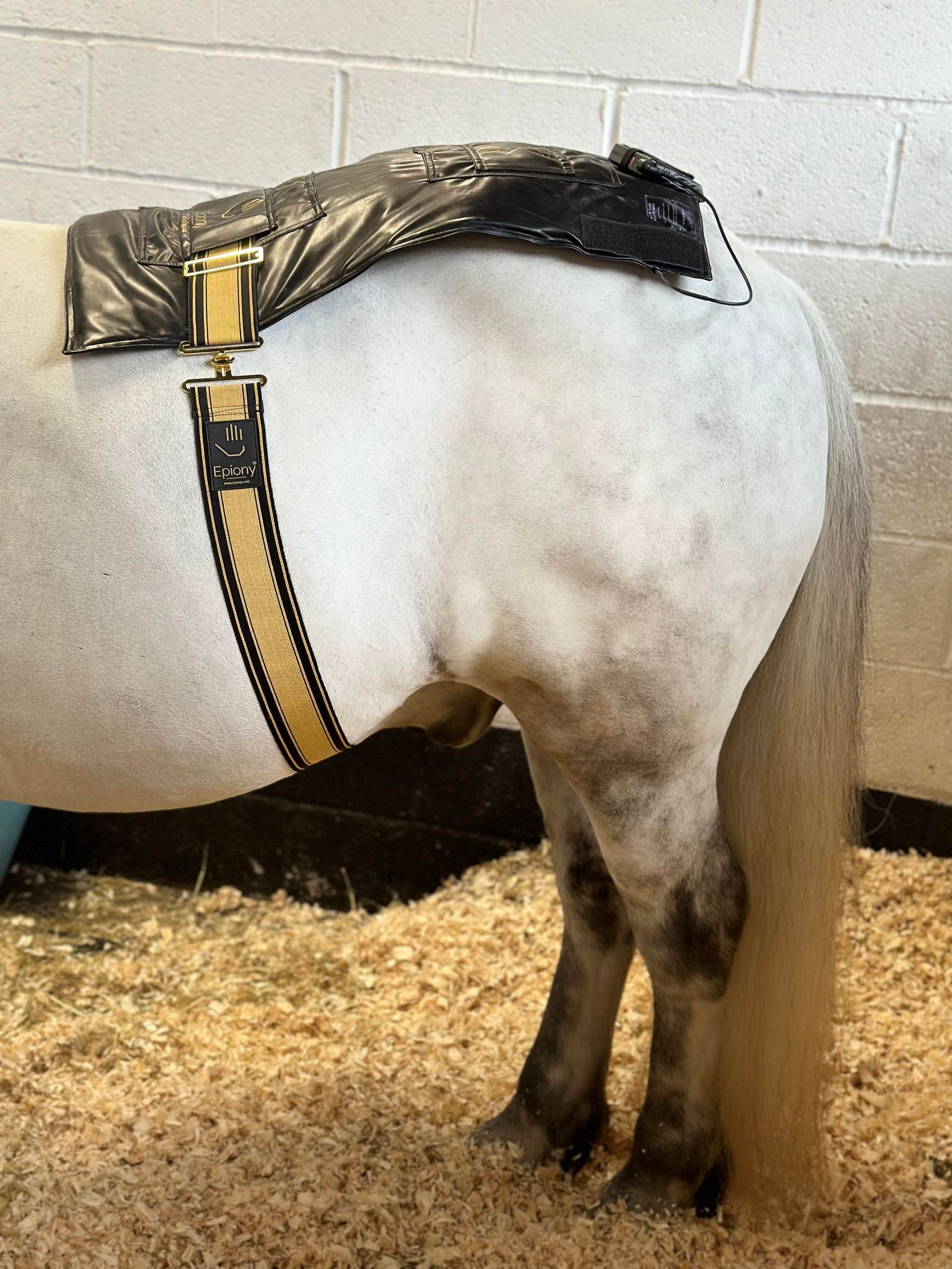 The Heat Pad Plus