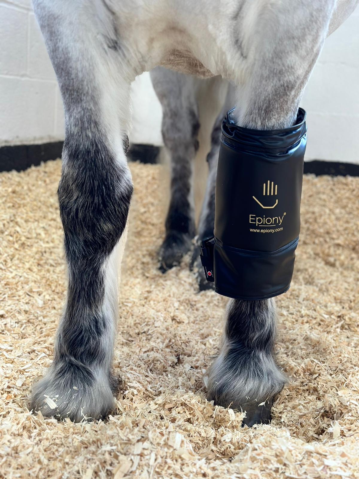 The Heat Pad | Heating Pad for People, Horses, Dogs & Cats