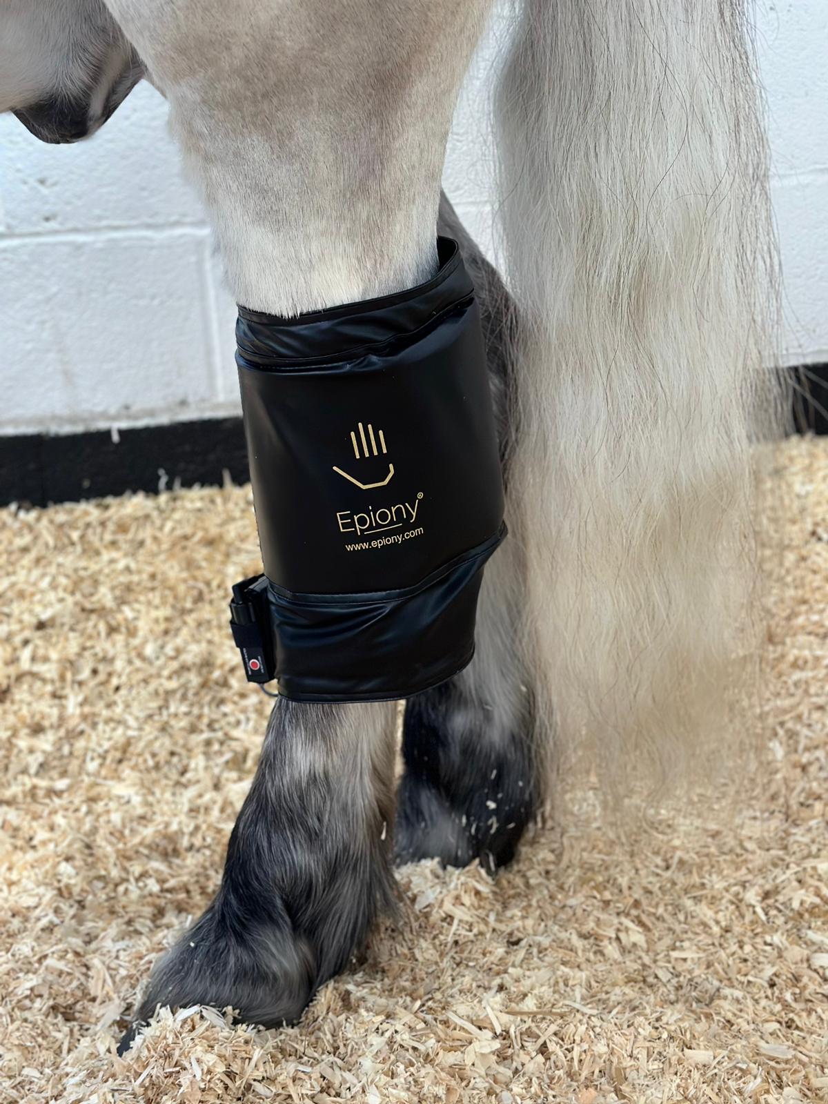 The Heat Pad | Heating Pad for People, Horses, Dogs & Cats