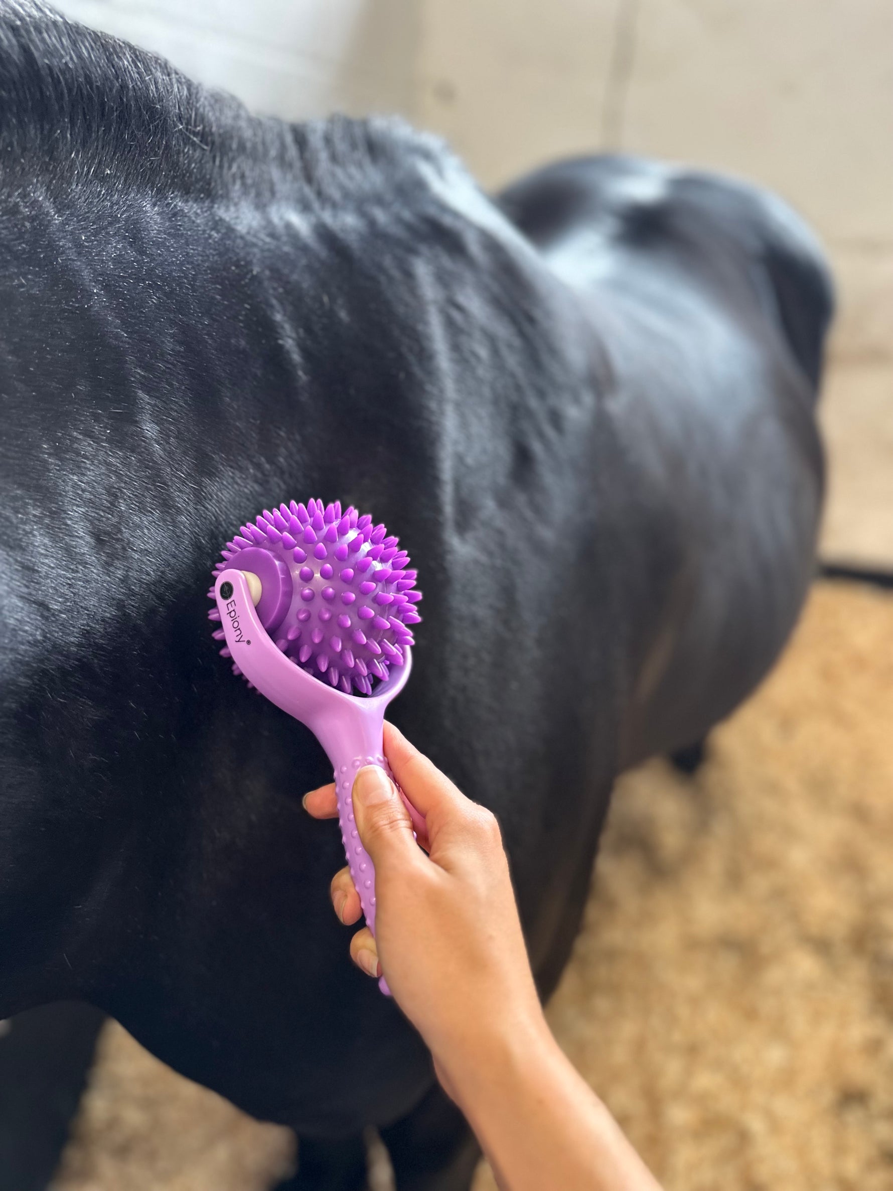 The Spiky Massage Ball