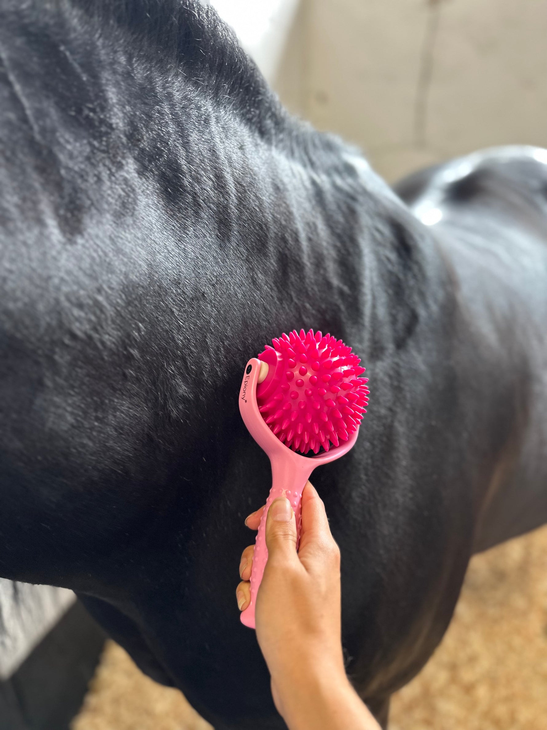 The Spiky Massage Ball