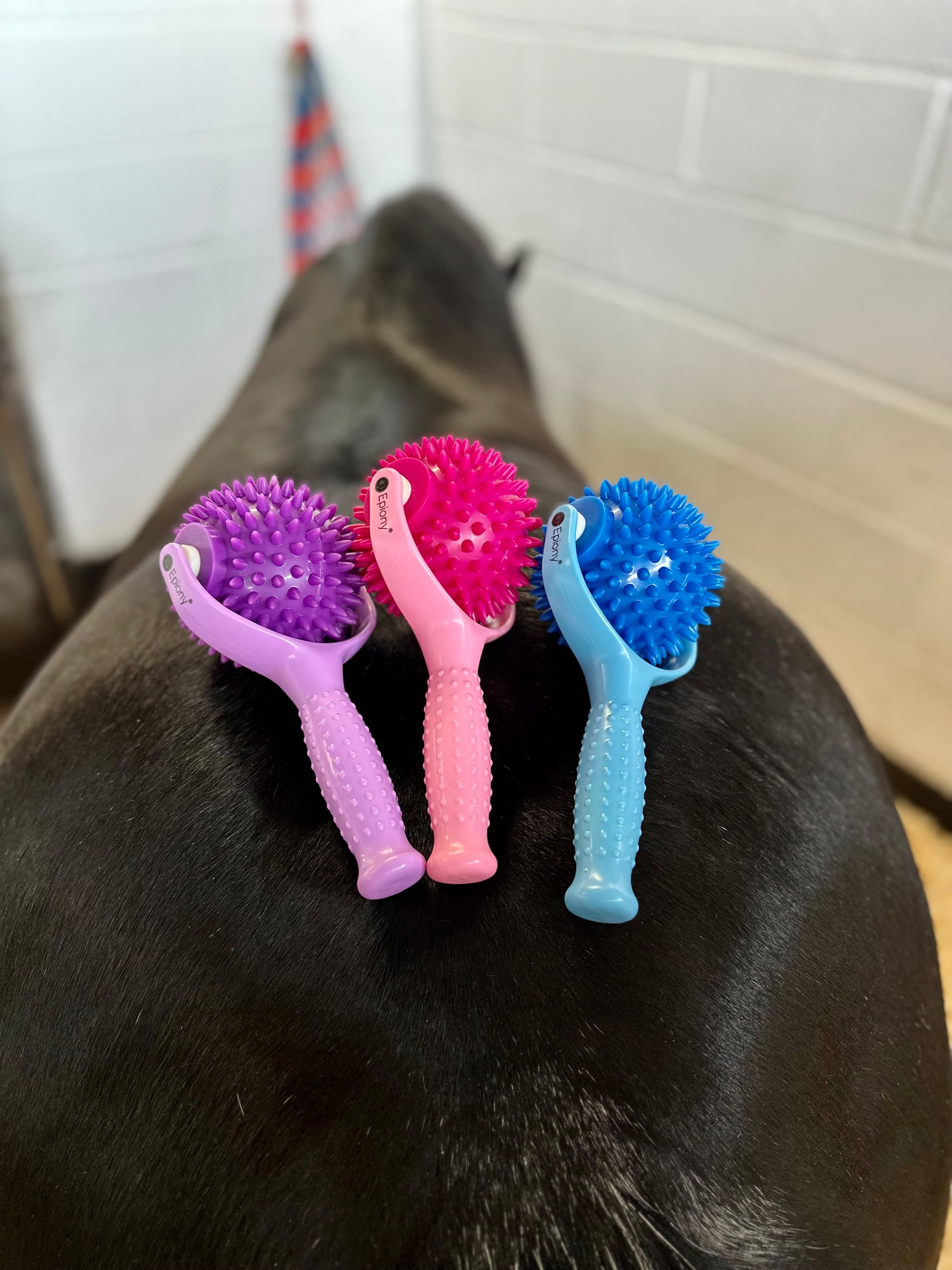 The Spiky Massage Ball