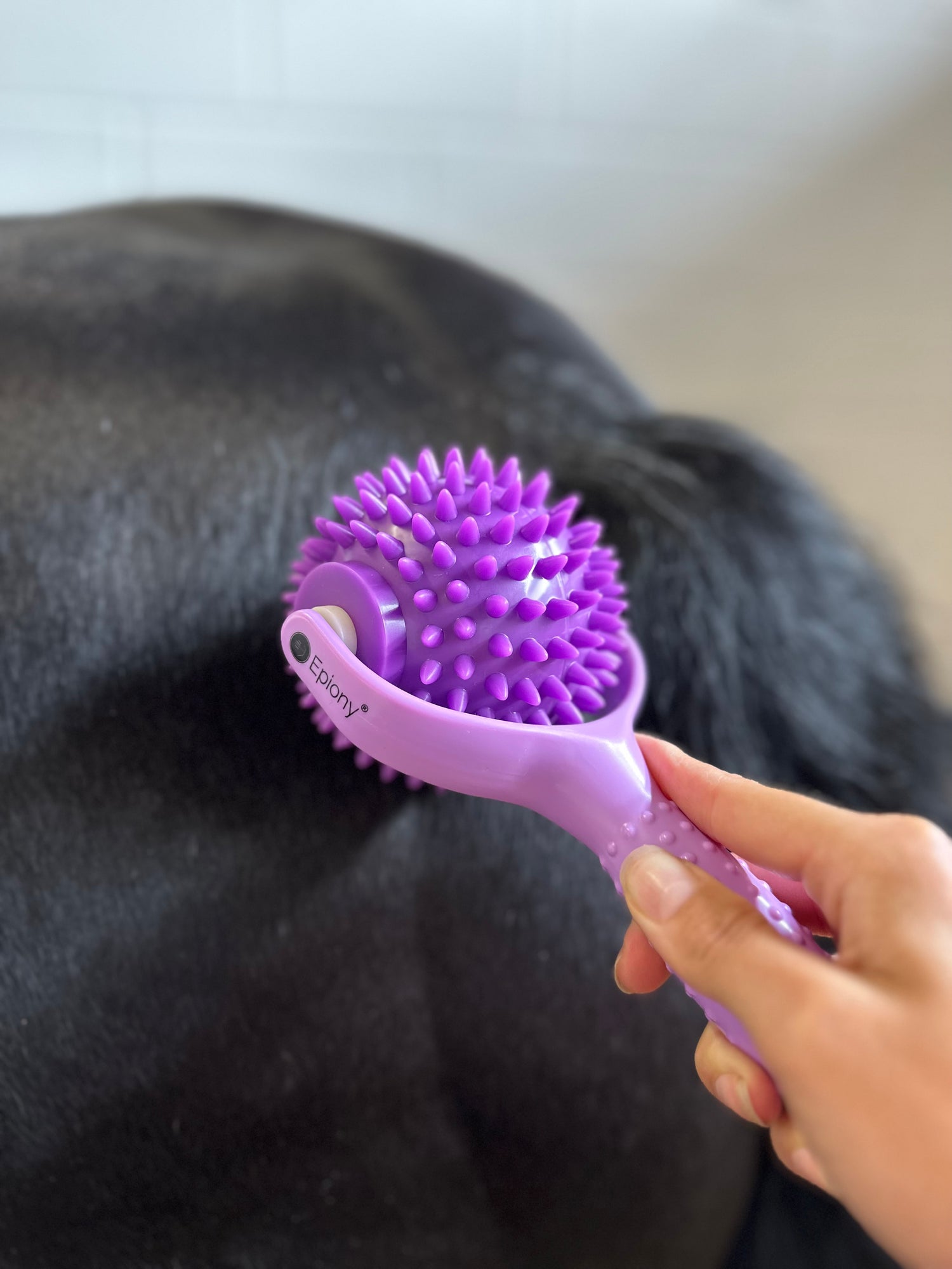 The Spiky Massage Ball