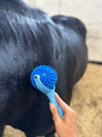 The Spiky Massage Ball