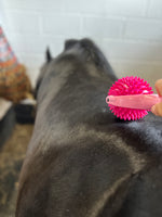 The Spiky Massage Ball