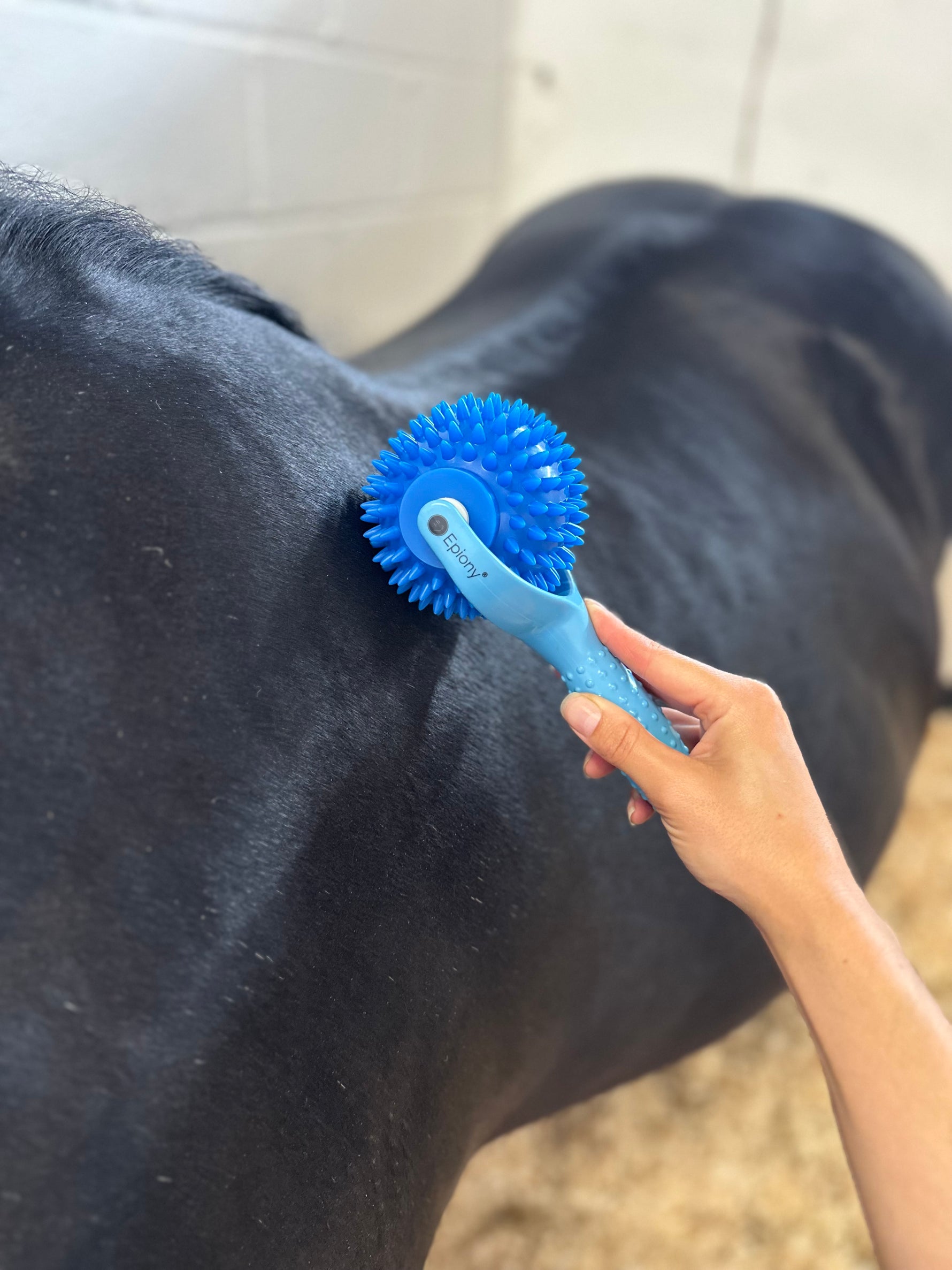 The Spiky Massage Ball