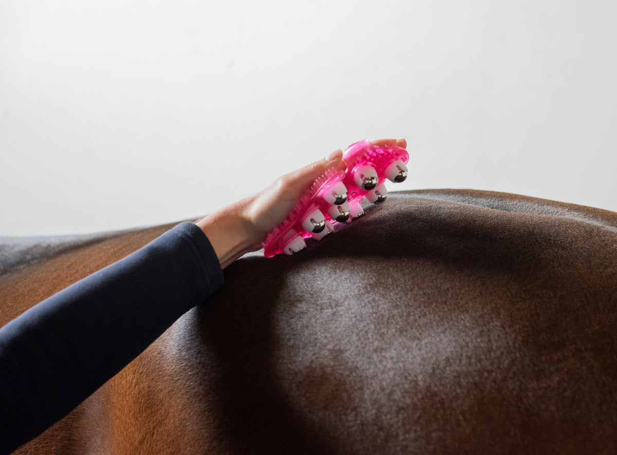 The Massage Mitt | For Humans, Horses & Dogs 