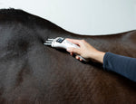 The Massage Package image 2