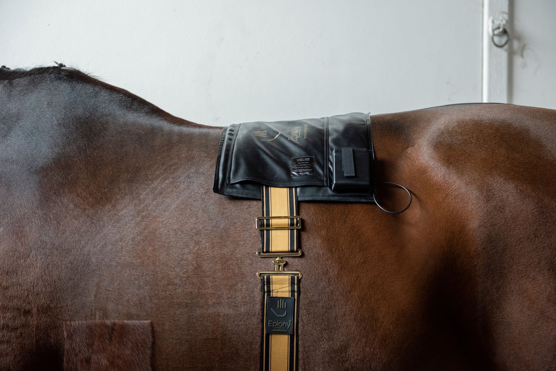 The Ultimate Heat Pad Package image 4